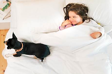 Penthouse Apartment with River view