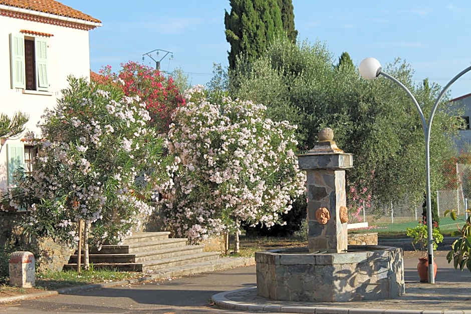 Domaine Le Clos des Oliviers