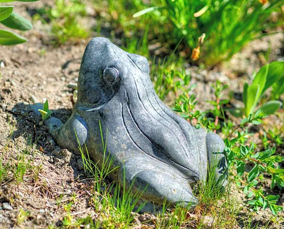 Waldhotel Sonnenberg