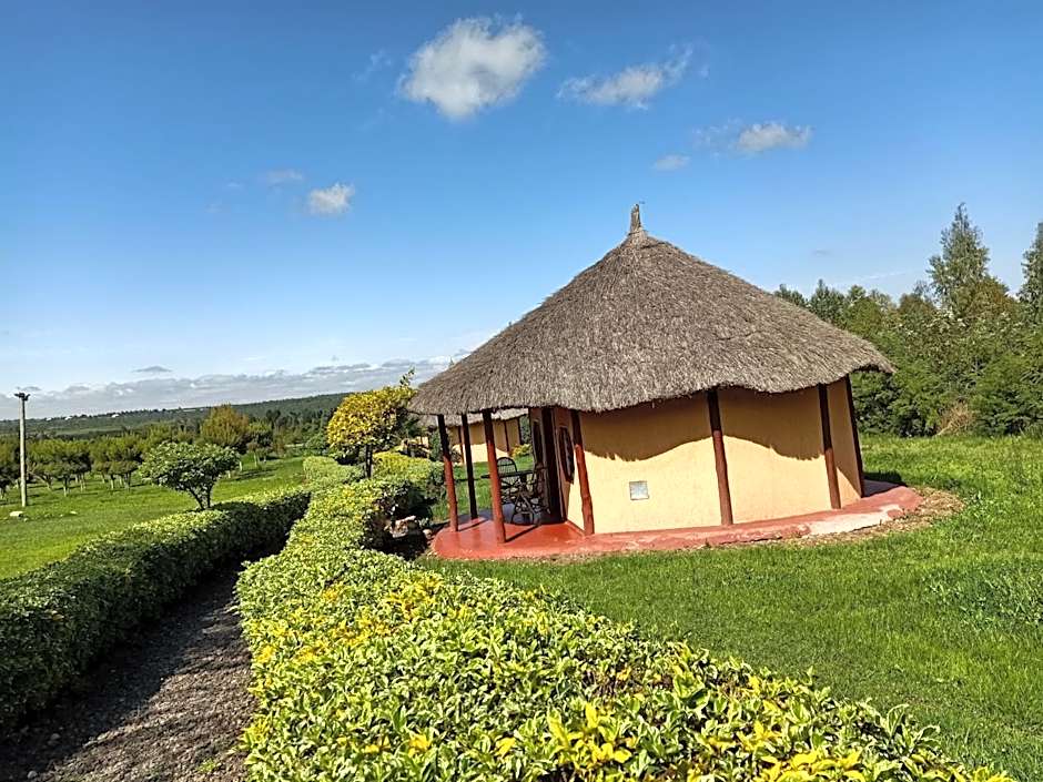 The Great Circle Lodge