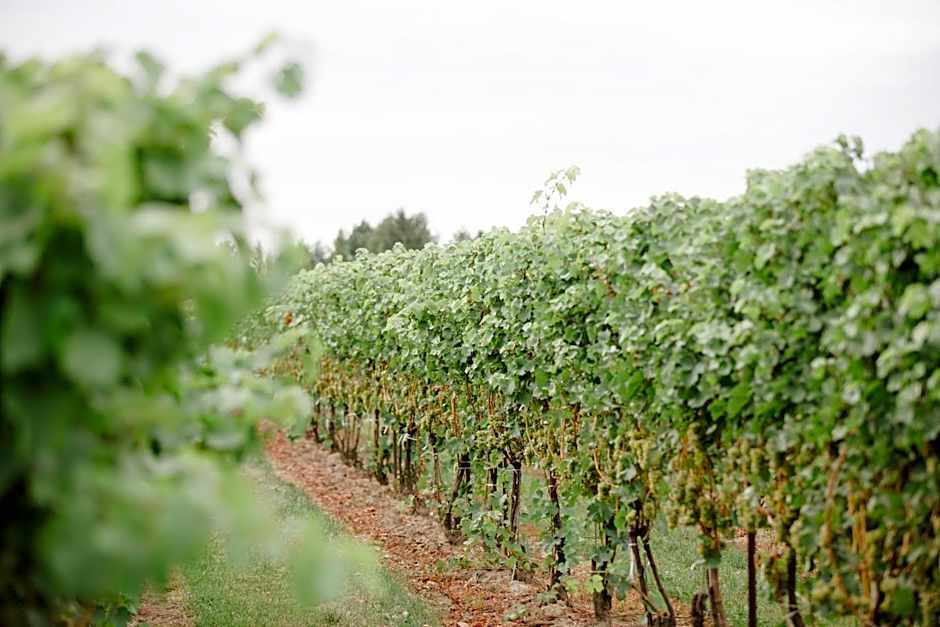 Staybridge Suites St. Catharines Conf Ctr By IHG