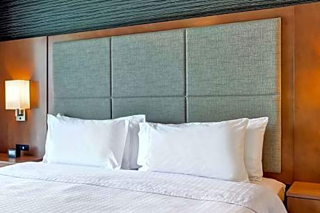 1 Kng Mobilty/Hearing Access Ri Shwr Studio Ns