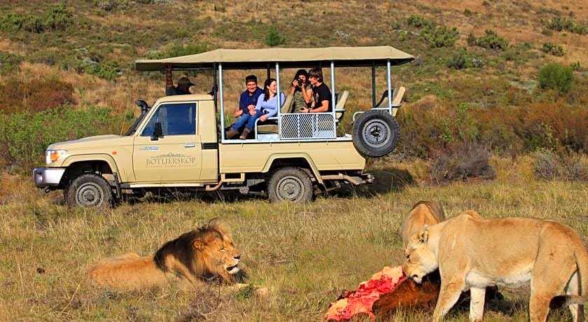 Botlierskop Private Game Reserve