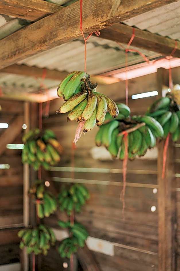 La Vieille Cheminée, Tropical Farm & Eco-Lodges