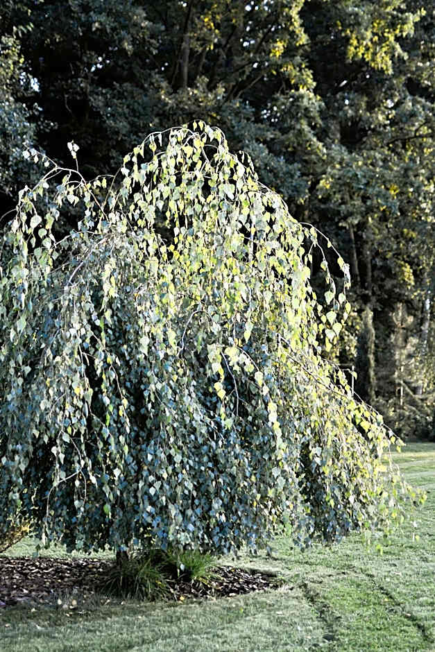 Eco Nieborów