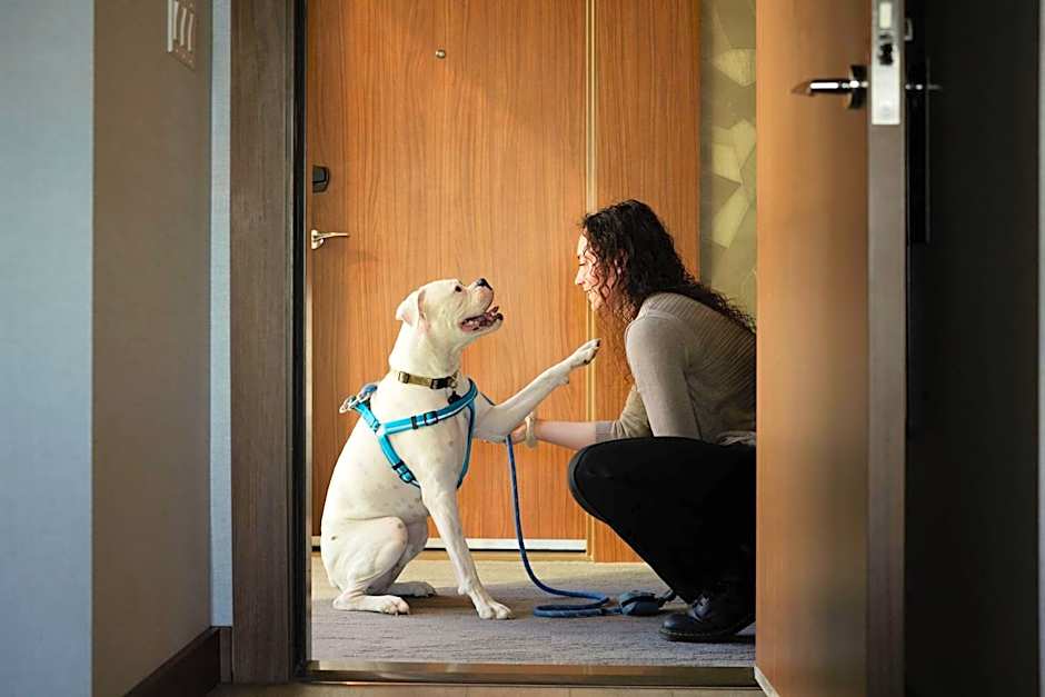 AC Hotel by Marriott Denver Downtown