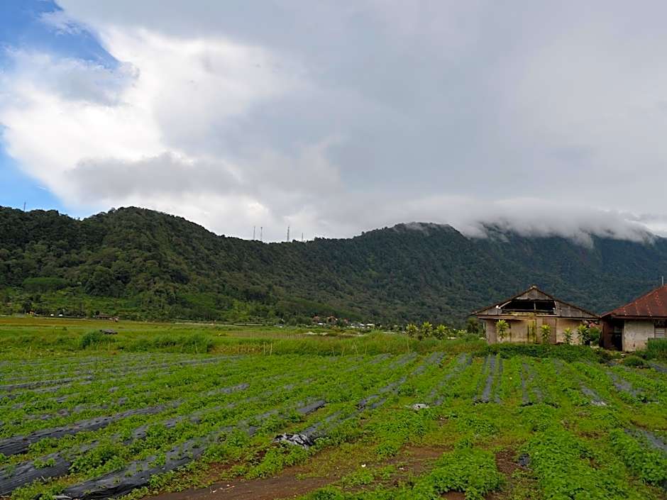 Dajan Buyan Homestay