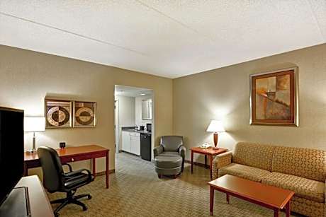 One-Bedroom King Suite - Non-Smoking