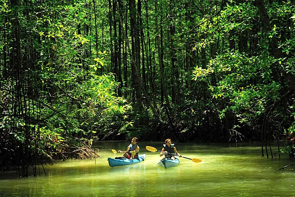 Playa Nicuesa Rainforest Eco Sanctuary
