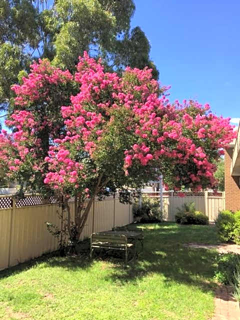 Eaglehawk Motel Bendigo