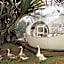 Bubble Lodge Bois Chéri Plantation