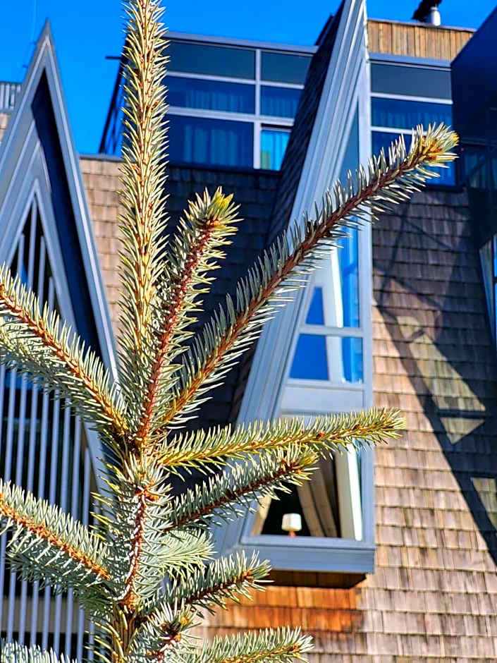 Pino Nature Hotel, BW Premier Collection