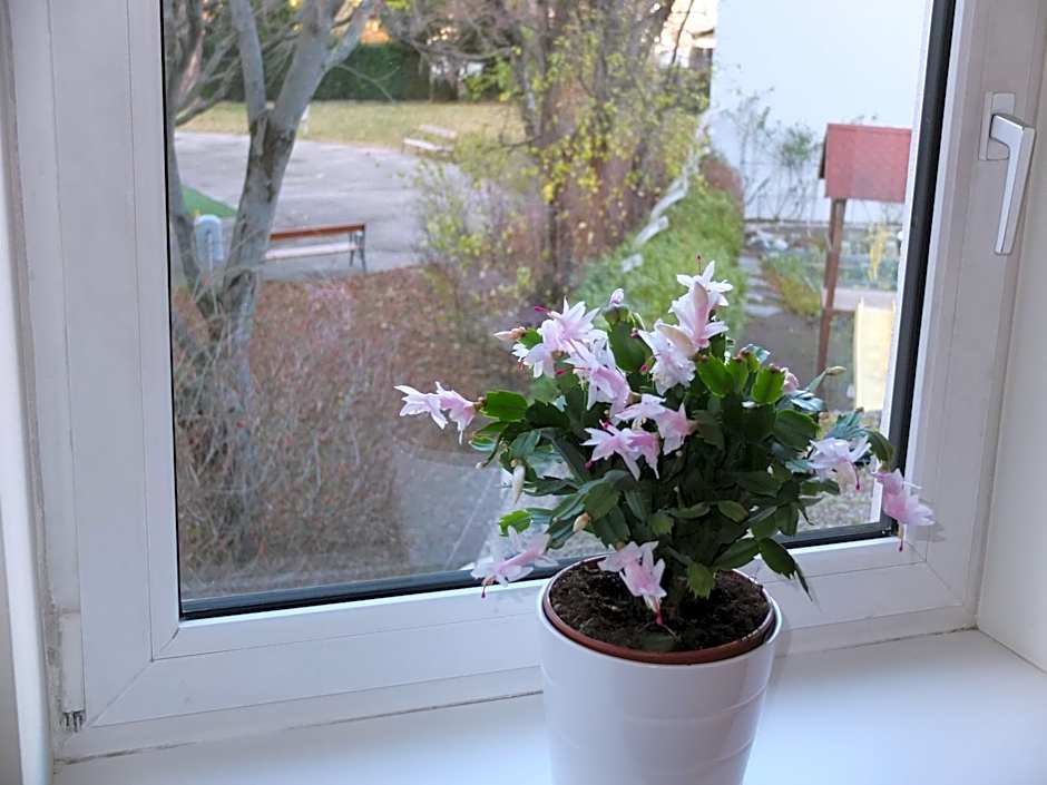 Leopoldauer Apartment