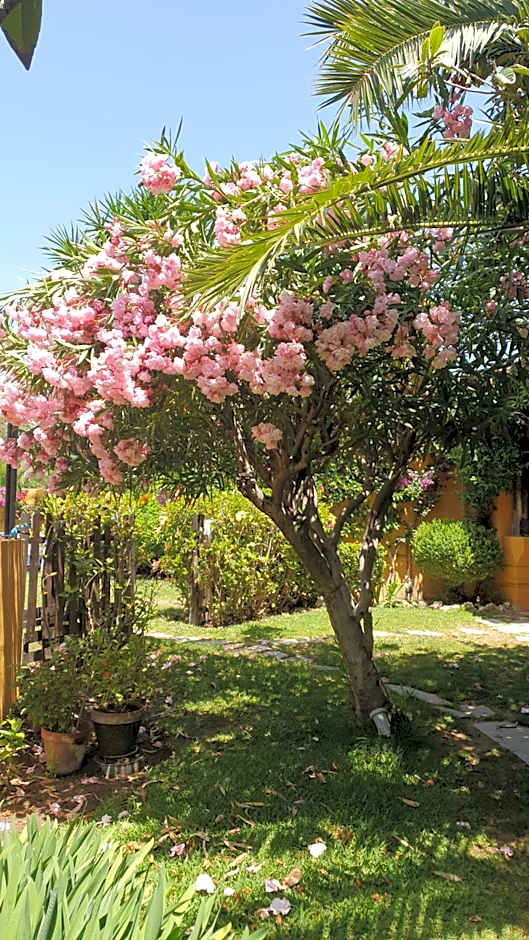 Family hotel Al- Ana Marbella