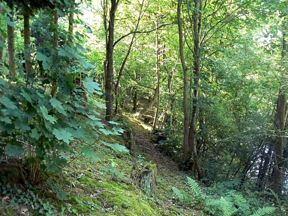 Chambre d'hôtes du Moulin de Landonvillers