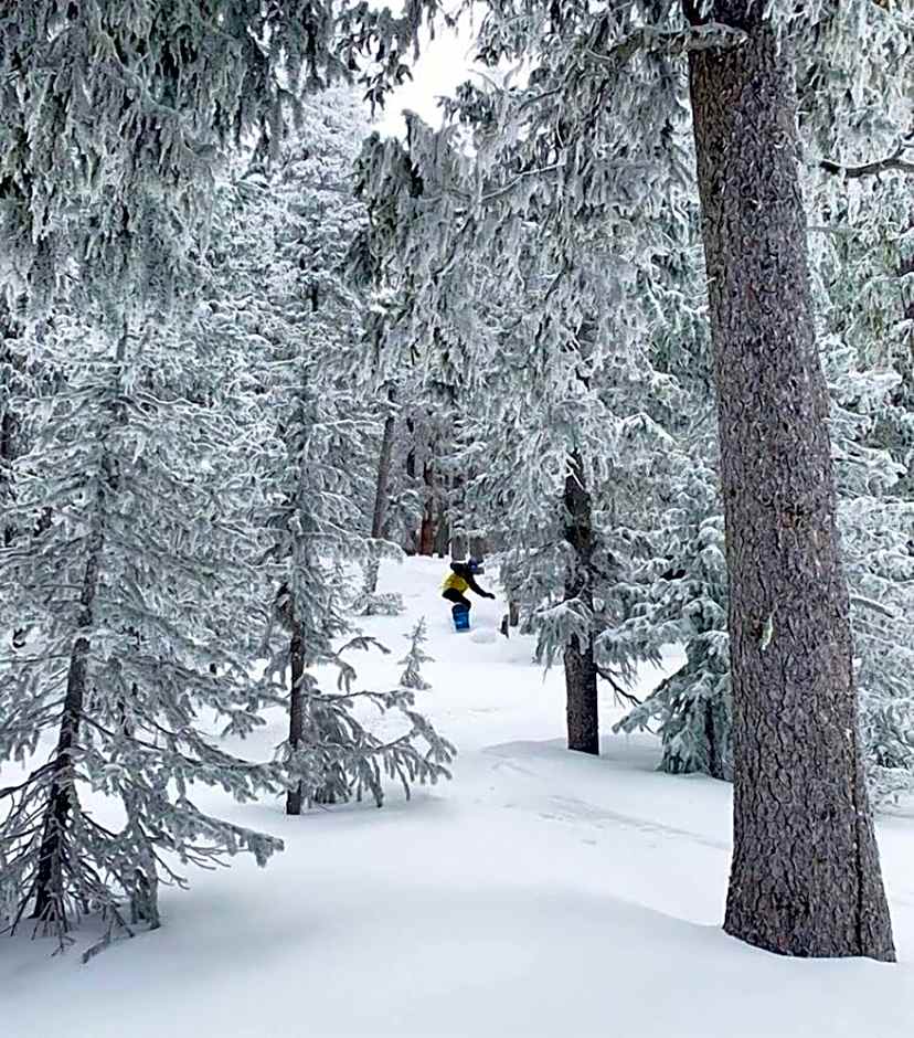 Inn Of The Governors