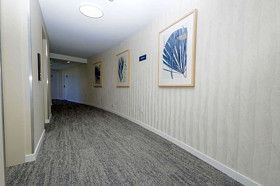 Princess Palm on the Beach