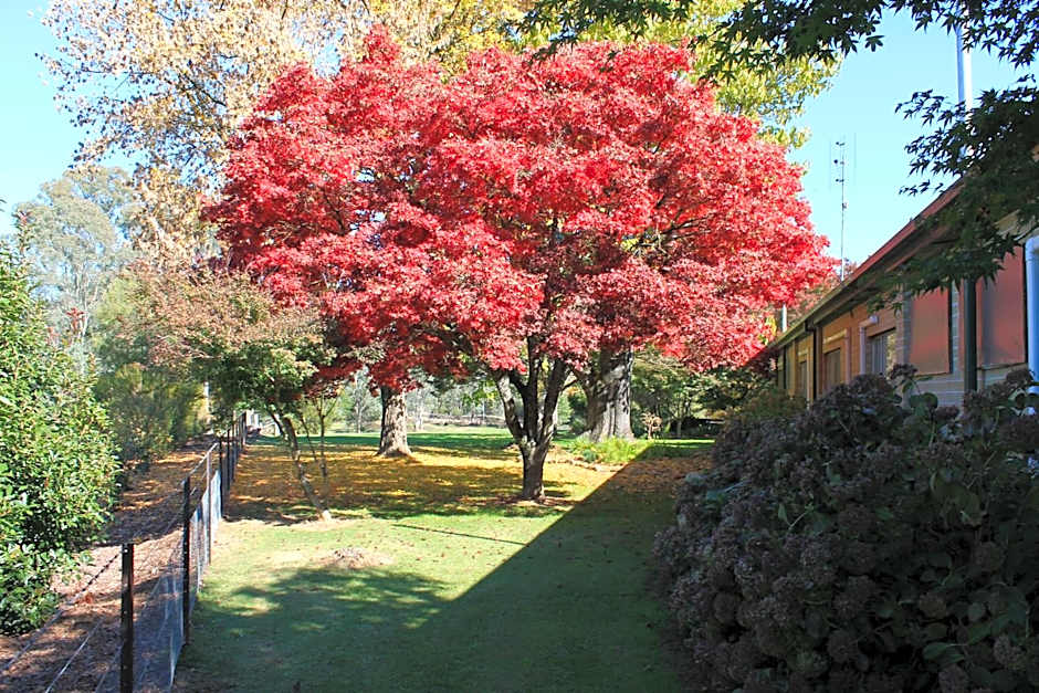 Buffalo Motel and Country Retreat