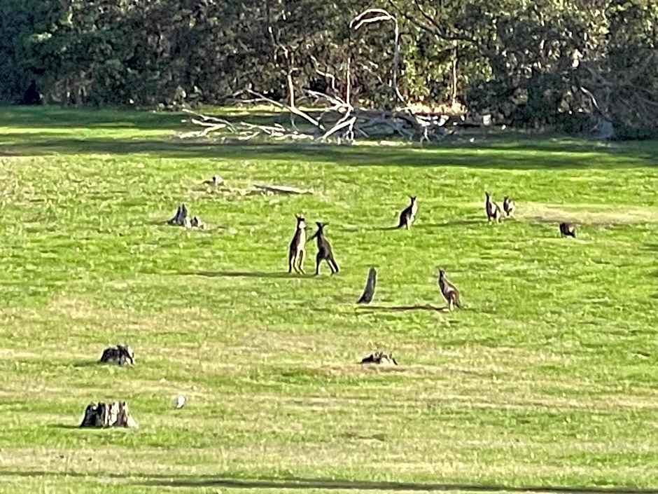 Dunsborough Ridge Retreat