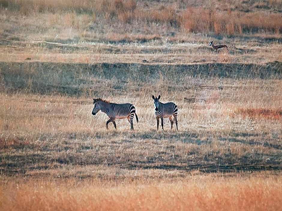 Kloofzicht Lodge & Spa