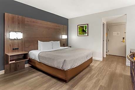 1 King Bed, No Smoking, Accessible Room