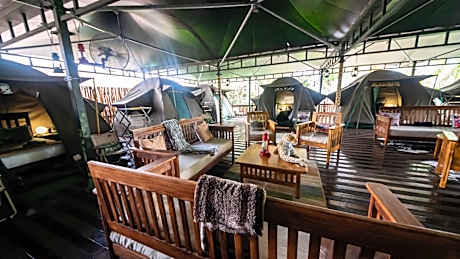 The Tree Top Village Urban Glamping