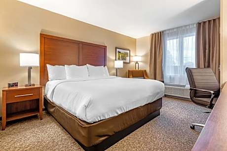 Comfort Inn & Suites