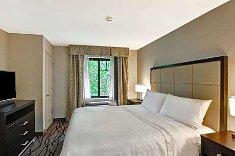 1Queen Hearing Accessible Suite Nonsmoking