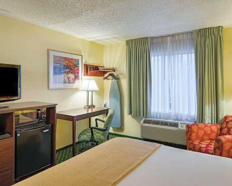 King Room - Non-Smoking