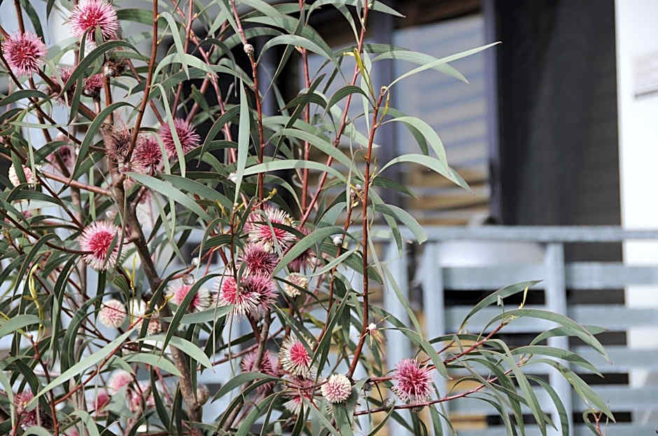 Saltair Luxury Accommodation - Adults Only