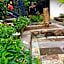 Amed Romance House