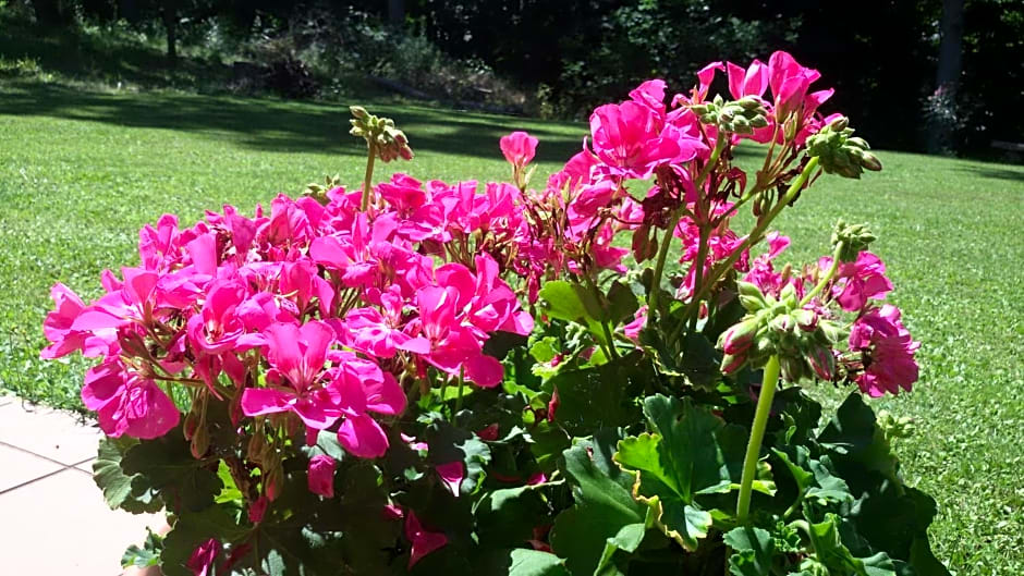 La Collina dei Passeri