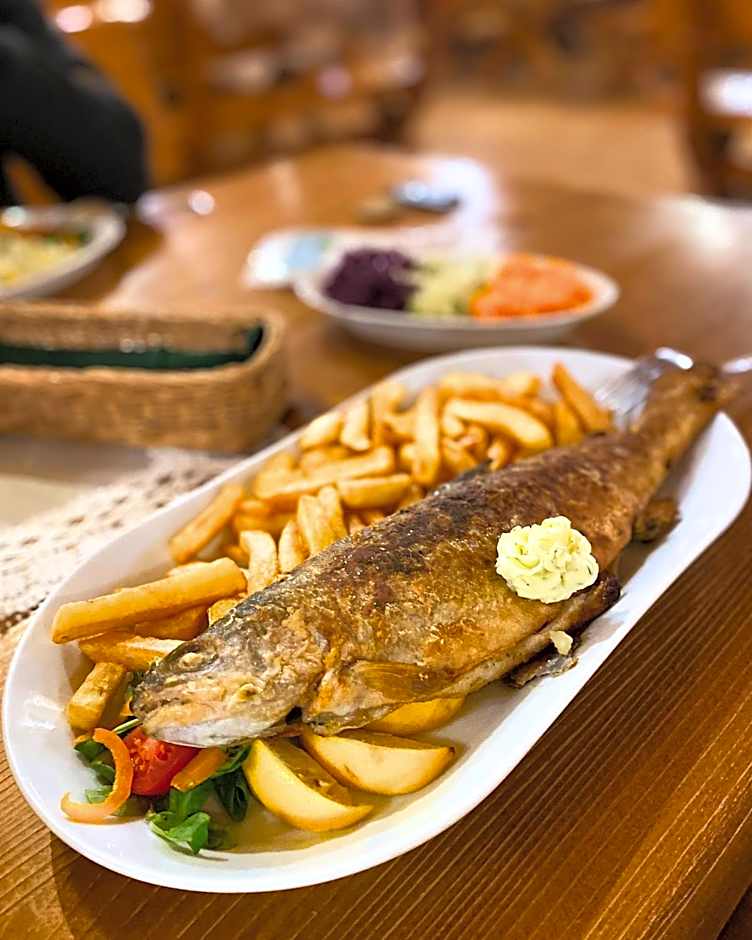 Olza Karczma i pokoje