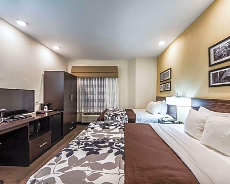 1 Queen Bed, 1 Double Bed, Nonsmoking