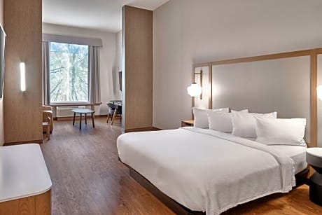 Suite, 1 King, Sofa bed