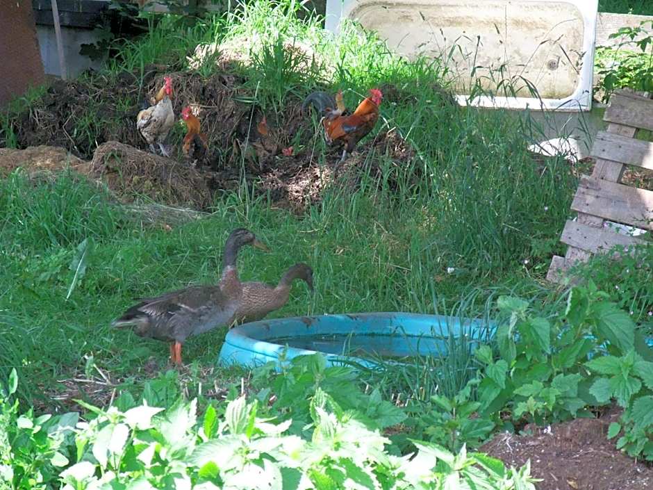 Ferienhotel Knollhof