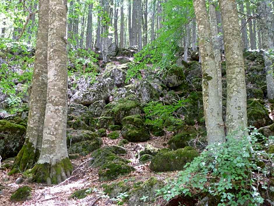Albergo Generale Cantore - Monte Amiata