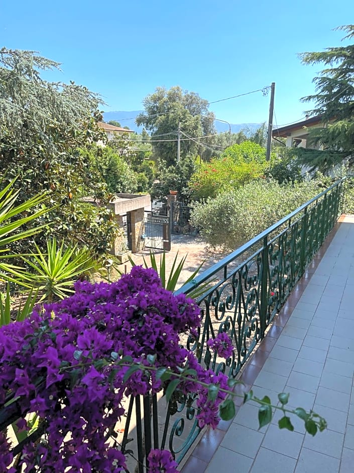 Agriturismo Al Gallo Verde