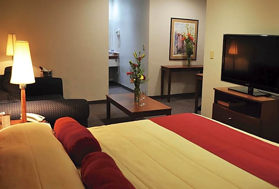 Hotel Mediterraneo Sa De Cv