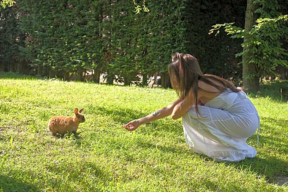 Abano Ritz Hotel Terme