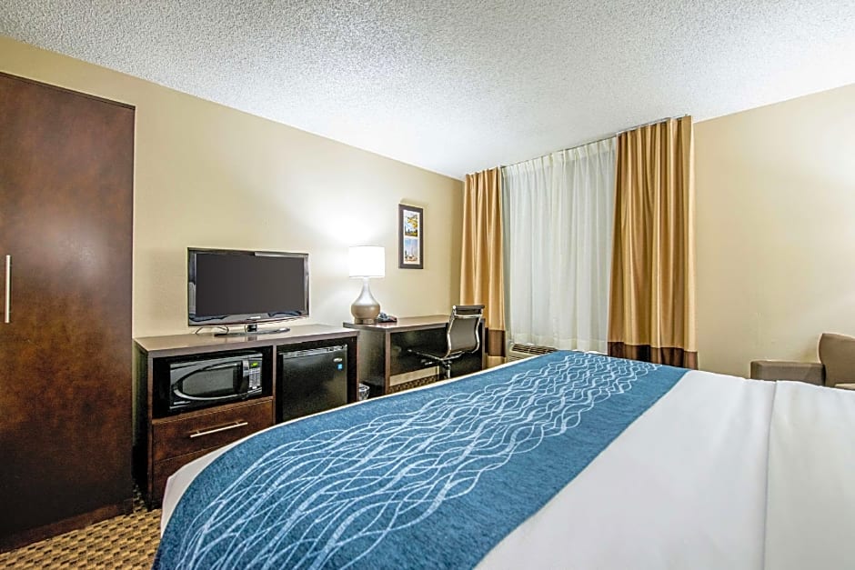 Comfort Inn Matteson