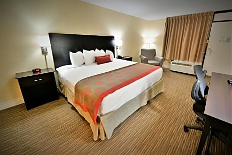 1 King Bed One-Bedroom Suite Non-Smoking