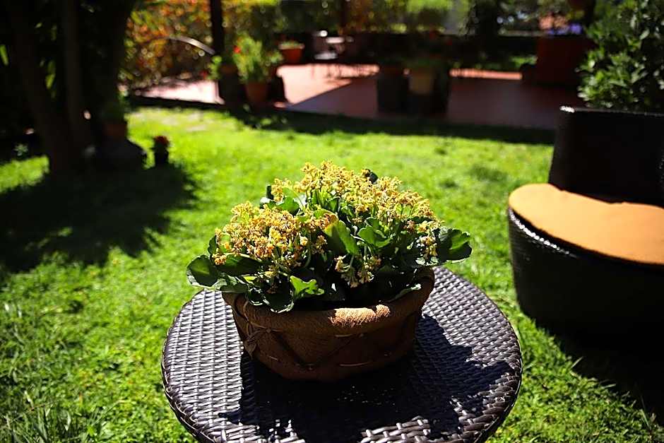 Hotel Alle Pendici