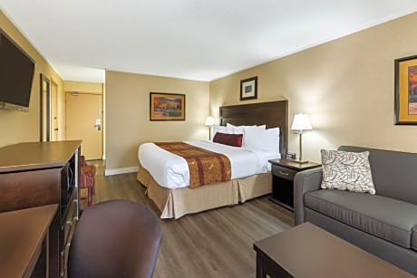 1 King Bed Studio Suite Non-Smoking