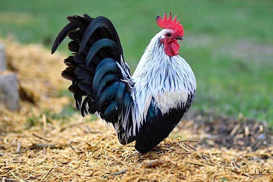 Chambres d'hôtes Vue sur la Muraille de Sens