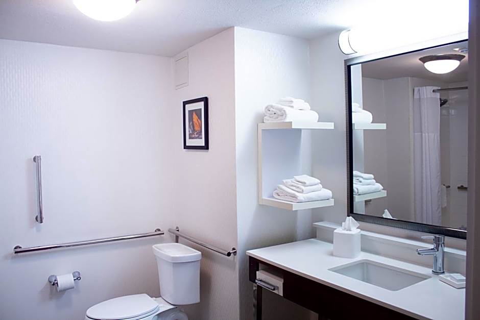 Hampton Inn By Hilton & Suites Big Rapids, Mi