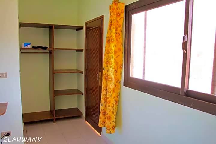 Oasis Fighting Kangaroo