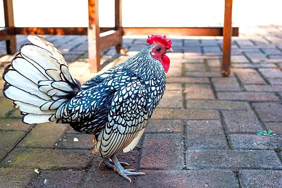 Kleinkaap Boutique Hotel