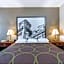 Super 8 by Wyndham Petersburg