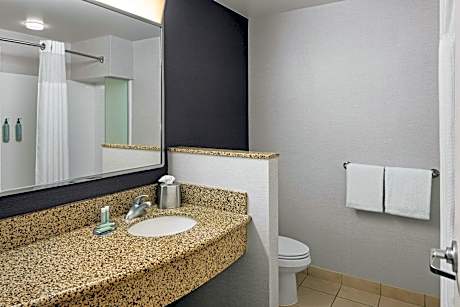 Executive Room, Larger Guest room, 1 King, Sofa bed